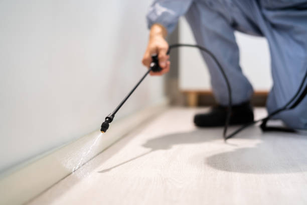 Licensed Mosquito Control service in Dunwoody, GA - Show Me Pest Control