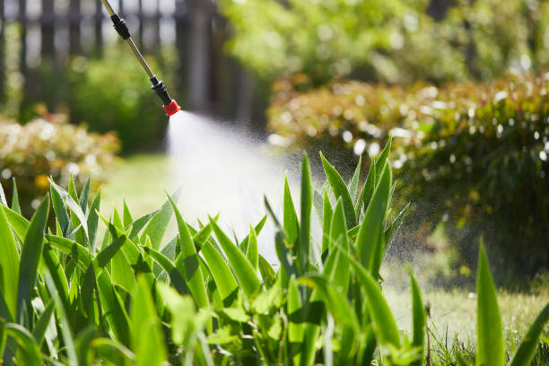 24/7 Emergency Mosquito Control experts in Dunwoody, GA